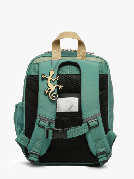 Rugzak 2 Compartimenten Cameleon Groen vintage fantasy SD33 ander zicht 4